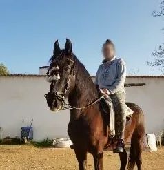 Tanja, 31
